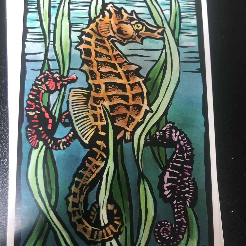 Lantern Press, Seahorses, Scratchboard, Postcard